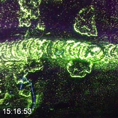 Example Image 2