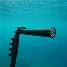 Pole camera underwater