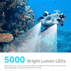 Underwater - With Robotic Arm Underwater - With Robotic Arm